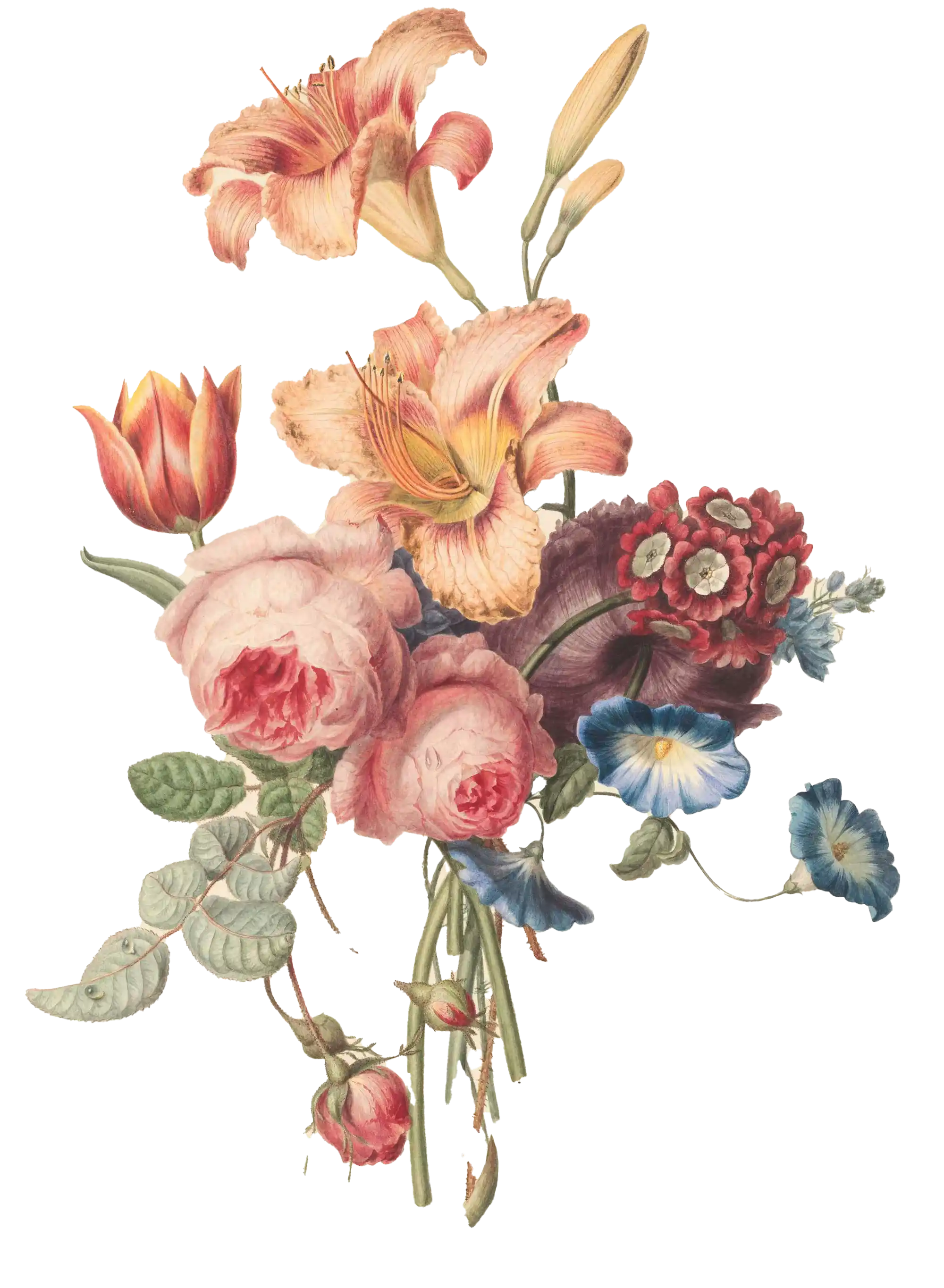 Colorful bouquet of flowers on a white background