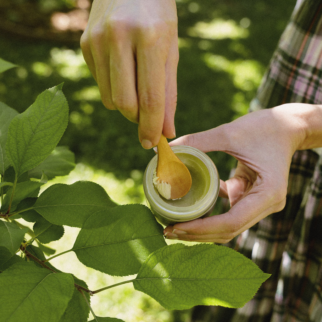 SECOND BLOOM WILD YAM MATURE SKIN TALLOW BALM