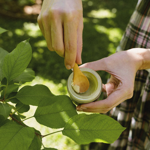 SECOND BLOOM WILD YAM MATURE SKIN TALLOW BALM